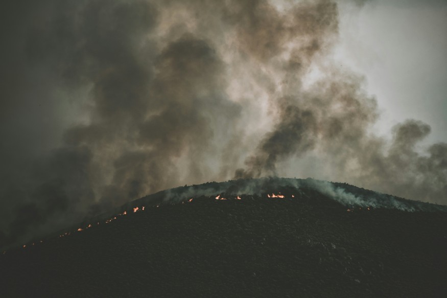 Wild fire