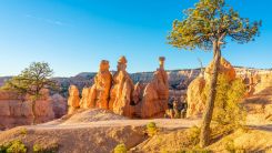 Cory Carnley the Best Kept Secrets of Domestic Travel