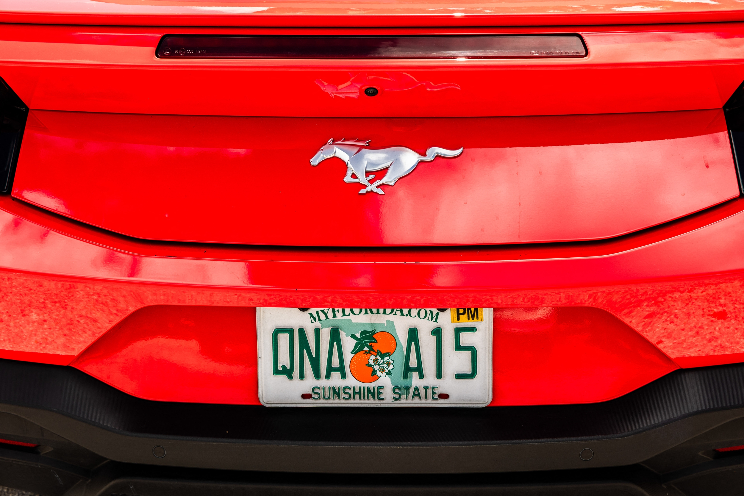 License Plate Readers Are Searching Your Travel History: Check Yours Now