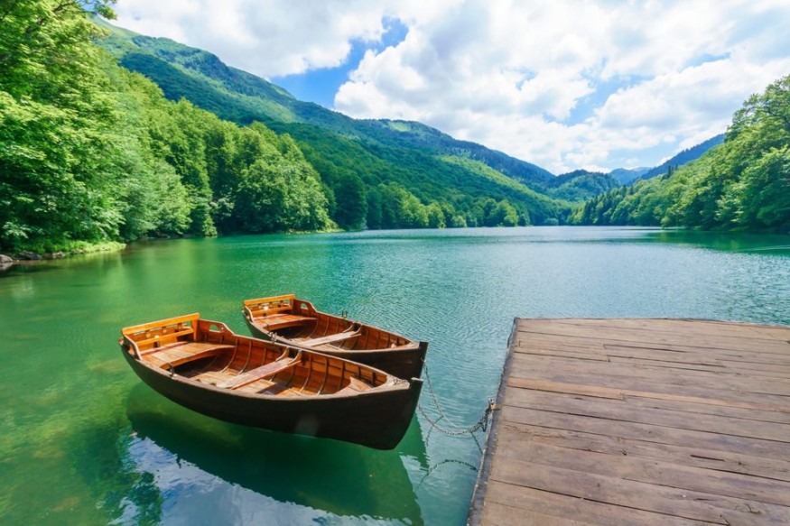 Biogradska Gora National Park, Montenegro